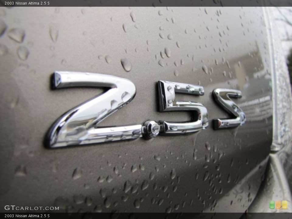 2003 Nissan Altima Custom Badge and Logo Photo #77448337