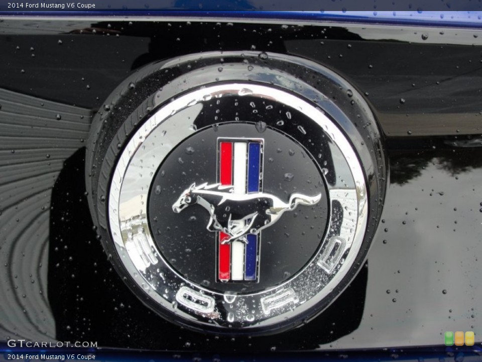 2014 Ford Mustang Custom Badge and Logo Photo #78775298