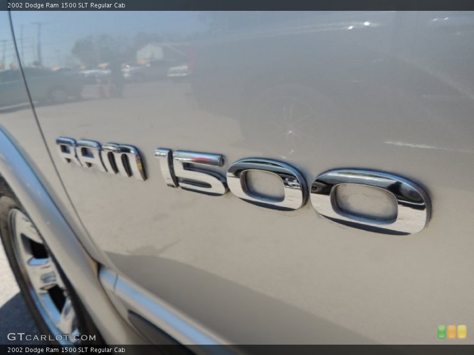 2002 Dodge Ram 1500 Custom Badge and Logo Photo #78945847