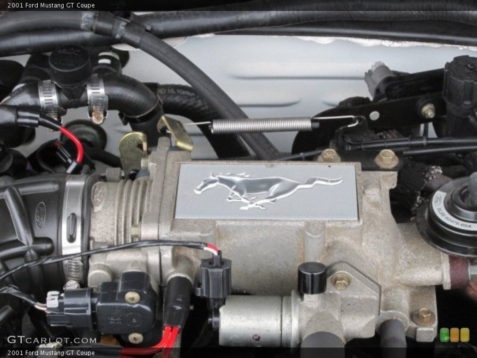 2001 Ford Mustang Custom Badge and Logo Photo #79000153