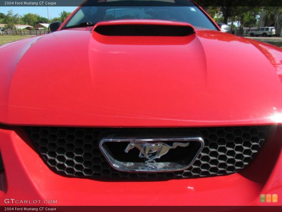 2004 Ford Mustang Custom Badge and Logo Photo #79152708