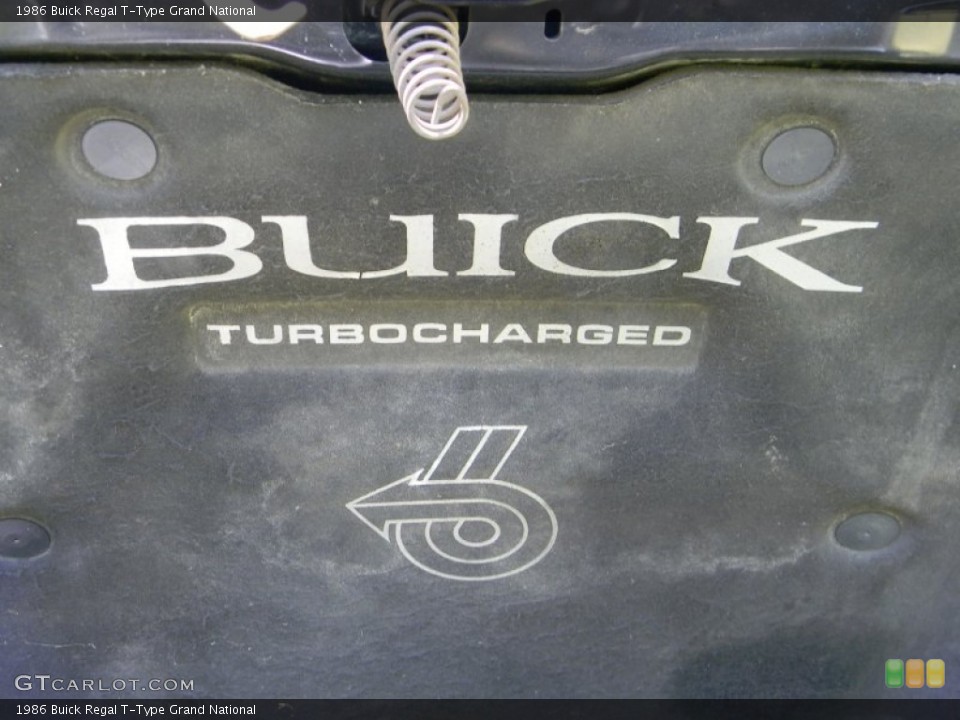 1986 Buick Regal Custom Badge and Logo Photo #80657919