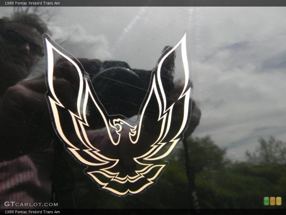 1986 Pontiac Firebird Custom Badge and Logo Photo #80938132