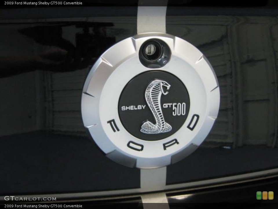 2009 Ford Mustang Custom Badge and Logo Photo #83035749