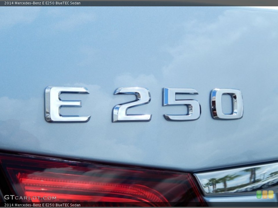 2014 Mercedes-Benz E Custom Badge and Logo Photo #86023088