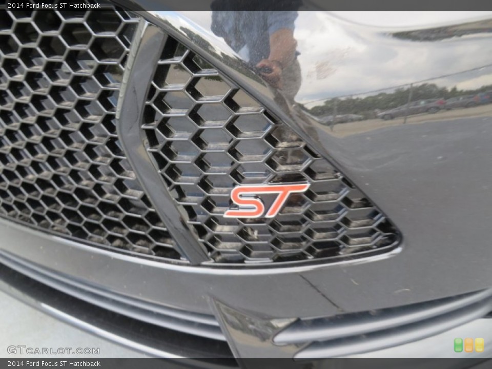 2014 Ford Focus Custom Badge and Logo Photo #86828785