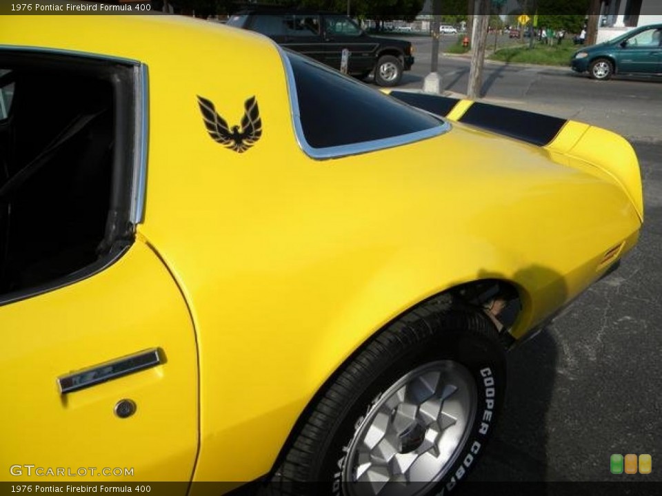 1976 Pontiac Firebird Badges and Logos