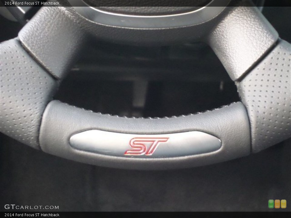 2014 Ford Focus Custom Badge and Logo Photo #88116558