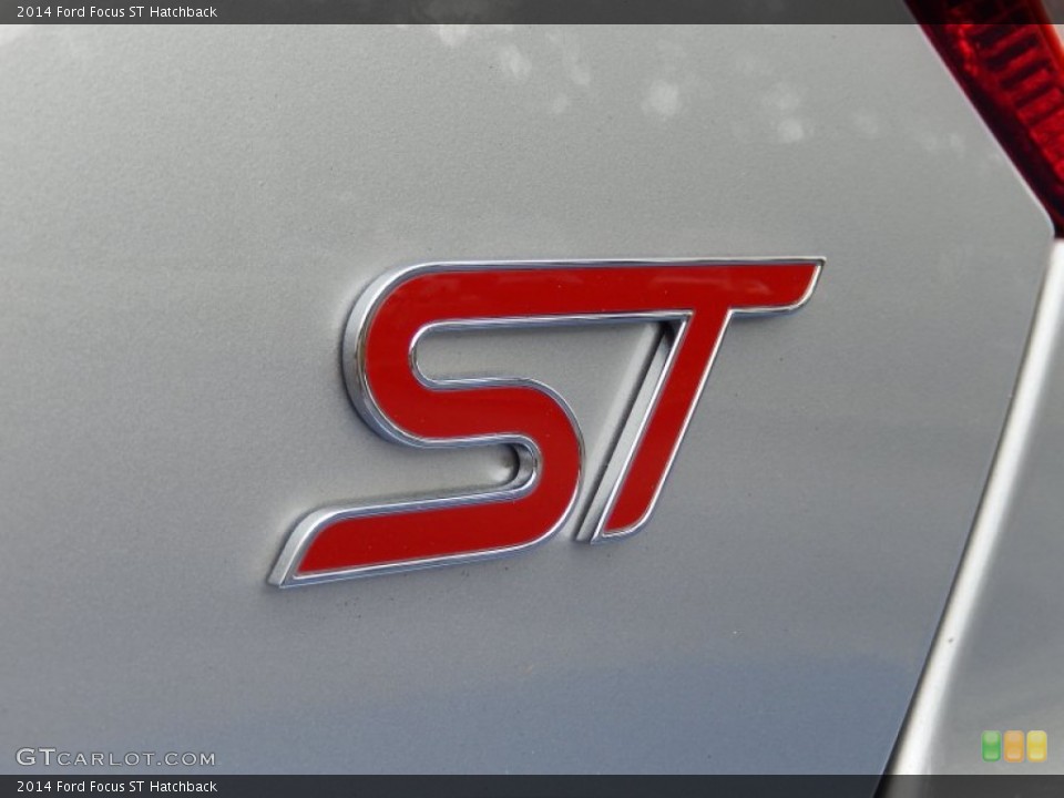 2014 Ford Focus Custom Badge and Logo Photo #88142330