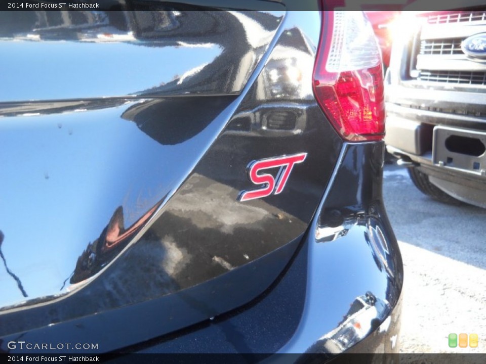 2014 Ford Focus Custom Badge and Logo Photo #90180190