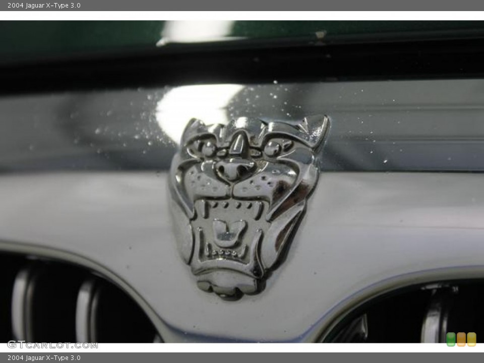 2004 Jaguar X-Type Custom Badge and Logo Photo #91088392