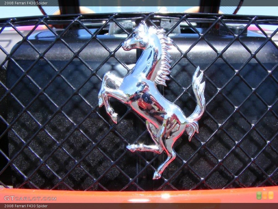 2008 Ferrari F430 Custom Badge and Logo Photo #9572401