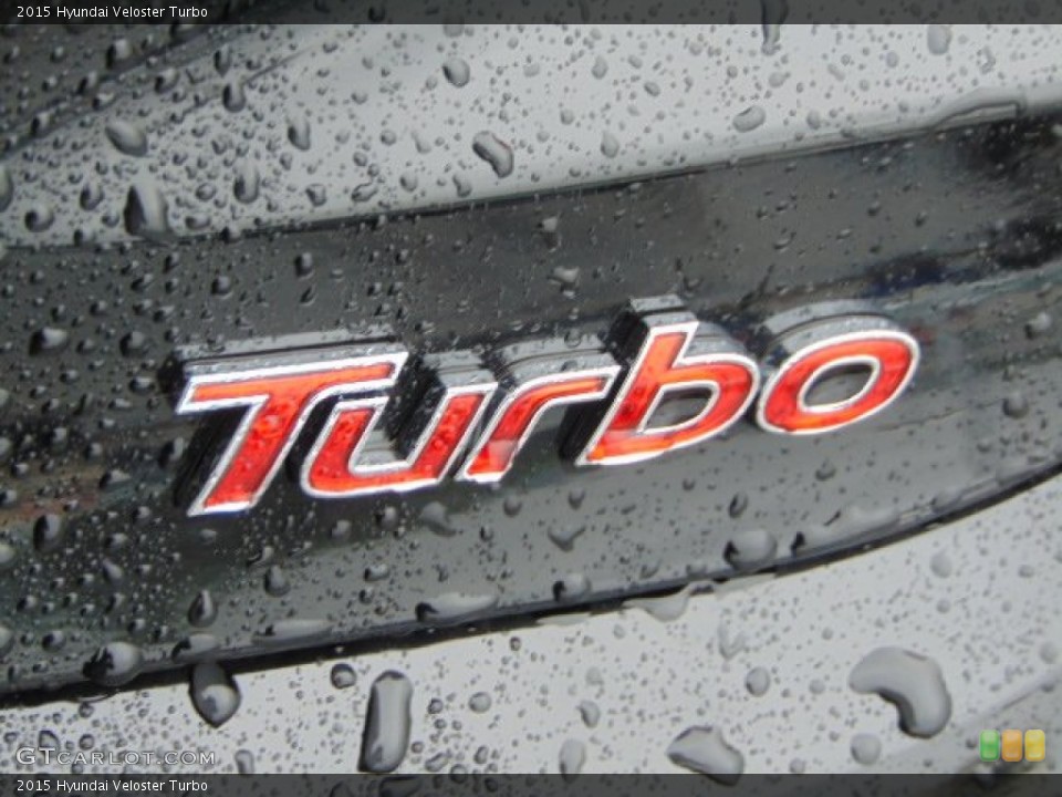 2015 Hyundai Veloster Custom Badge and Logo Photo #97204981