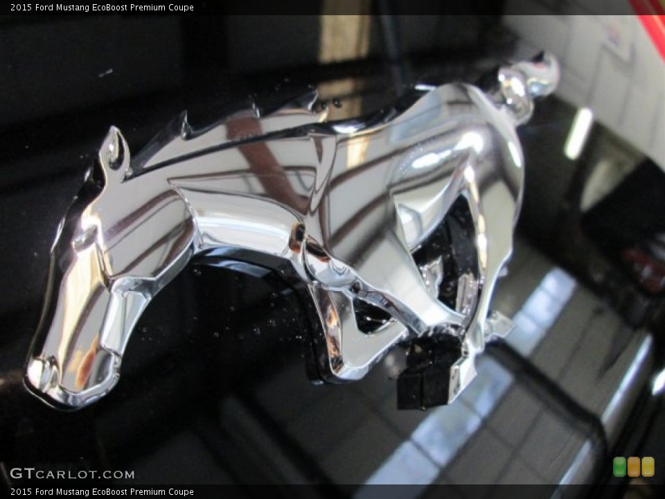 2015 Ford Mustang Custom Badge and Logo Photo #98903812