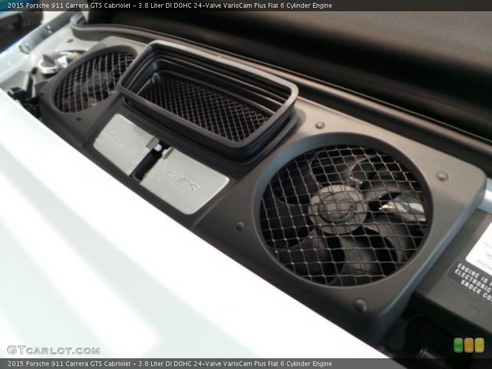 3.8 Liter DI DOHC 24-Valve VarioCam Plus Flat 6 Cylinder Engine for the 2015 Porsche 911 #103306273