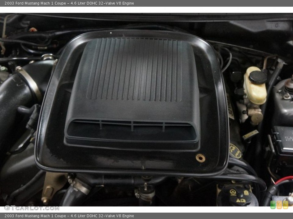 4.6 Liter DOHC 32-Valve V8 Engine for the 2003 Ford Mustang #103892985