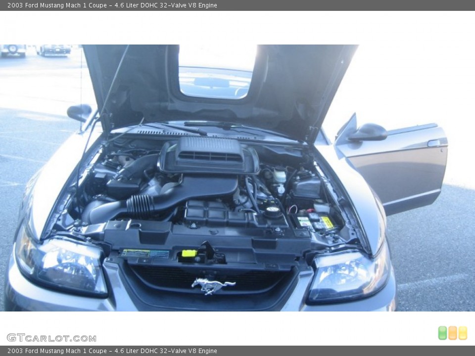 4.6 Liter DOHC 32-Valve V8 2003 Ford Mustang Engine
