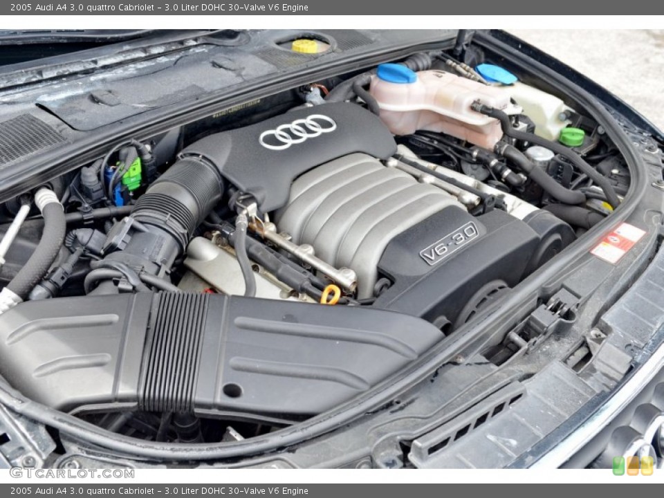3.0 Liter DOHC 30-Valve V6 Engine for the 2005 Audi A4 #106776632