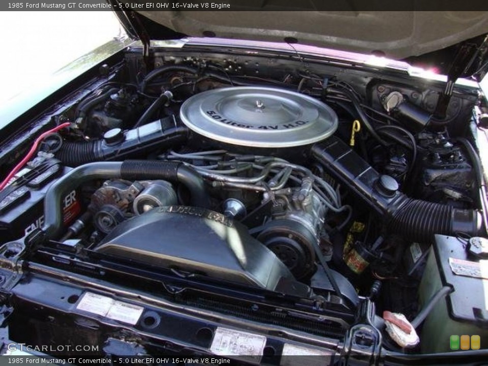 5.0 Liter EFI OHV 16-Valve V8 1985 Ford Mustang Engine