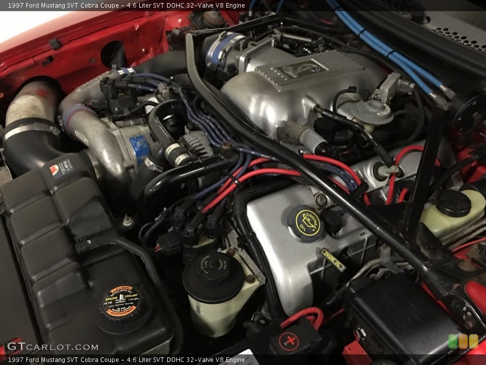 4.6 Liter SVT DOHC 32-Valve V8 Engine for the 1997 Ford Mustang #109591103