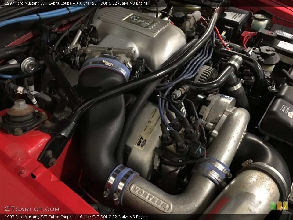4.6 Liter SVT DOHC 32-Valve V8 Engine for the 1997 Ford Mustang #109591151