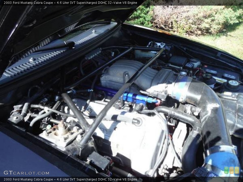 4.6 Liter SVT Supercharged DOHC 32-Valve V8 Engine for the 2003 Ford Mustang #109690173
