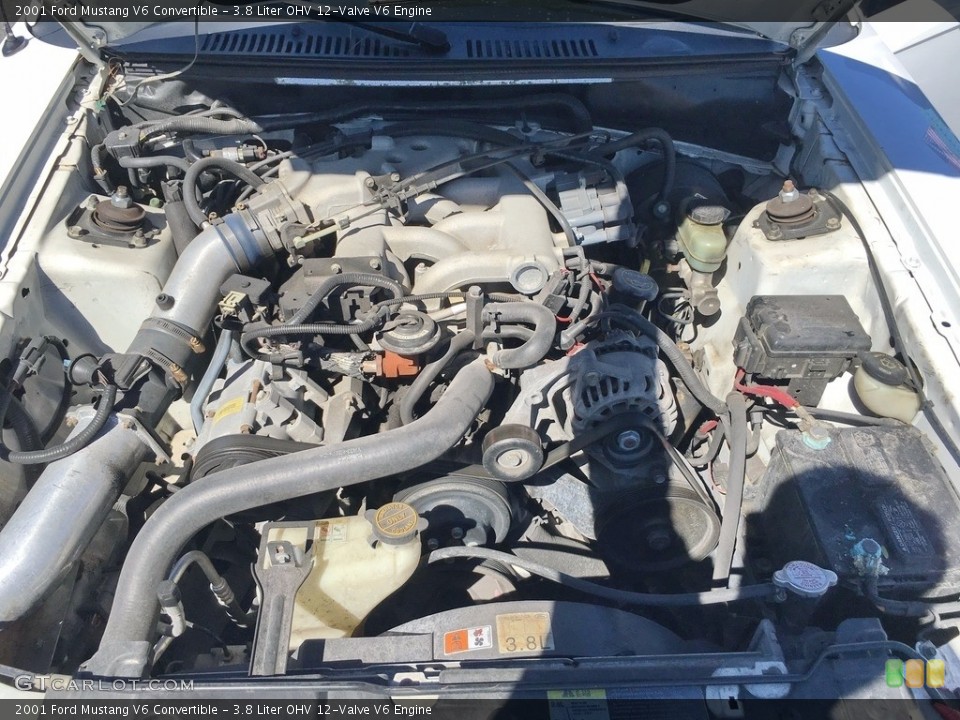 3.8 Liter OHV 12-Valve V6 2001 Ford Mustang Engine