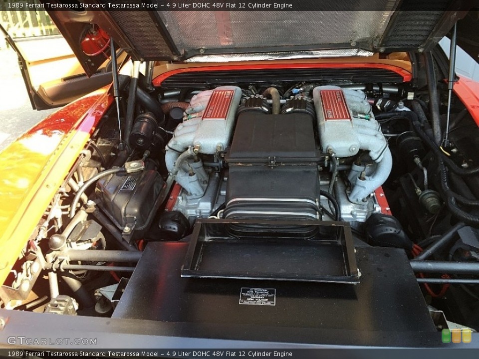 4.9 Liter DOHC 48V Flat 12 Cylinder Engine for the 1989 Ferrari Testarossa #114428747