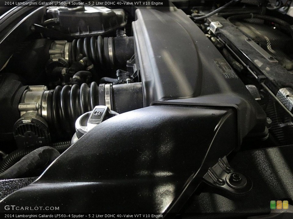 5.2 Liter DOHC 40-Valve VVT V10 Engine for the 2014 Lamborghini Gallardo #118866524