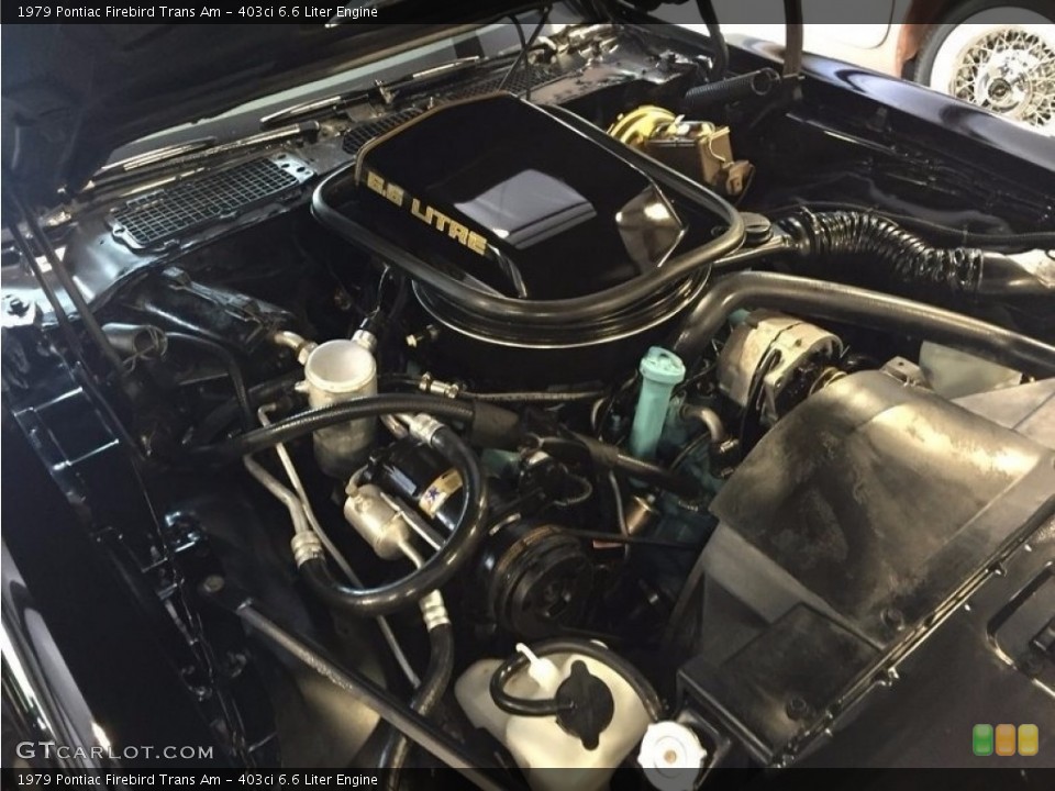 403ci 6.6 Liter Engine for the 1979 Pontiac Firebird #121102819
