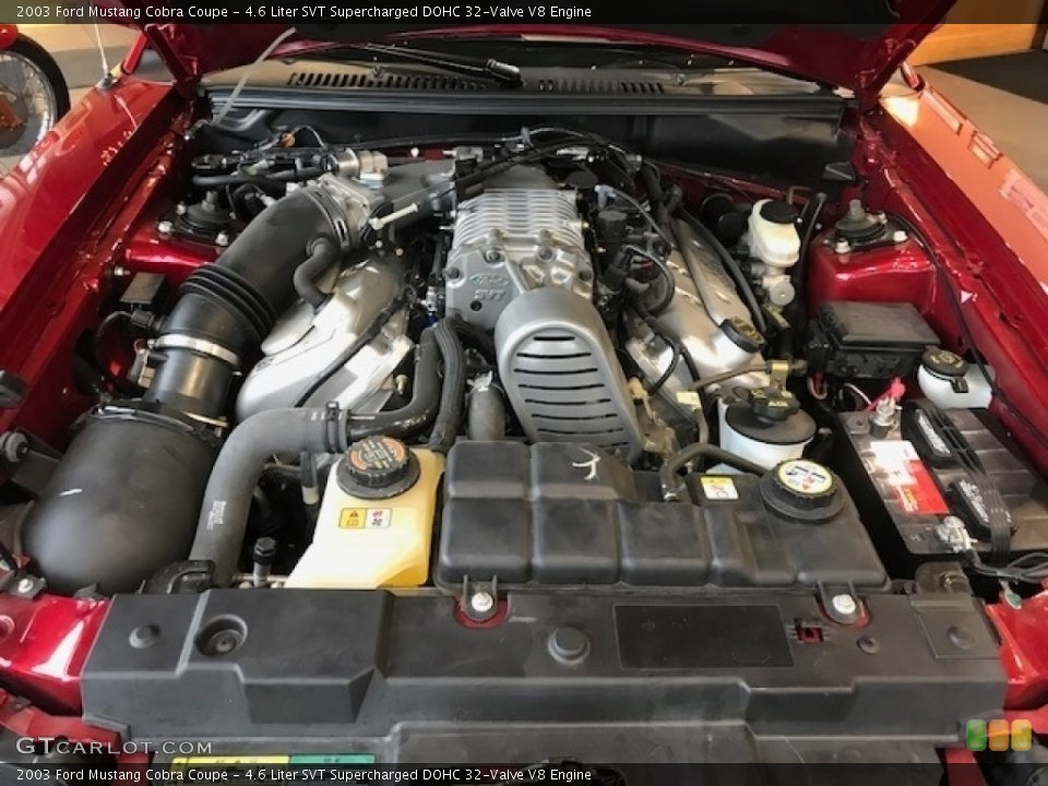 4.6 Liter SVT Supercharged DOHC 32-Valve V8 Engine for the 2003 Ford Mustang #121878025