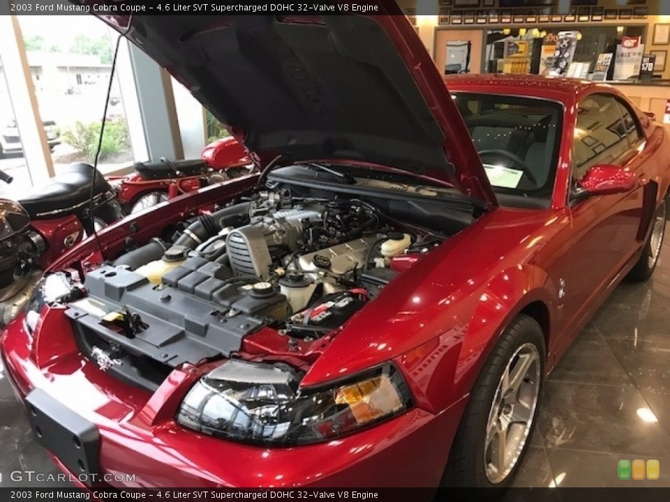 4.6 Liter SVT Supercharged DOHC 32-Valve V8 Engine for the 2003 Ford Mustang #121878067