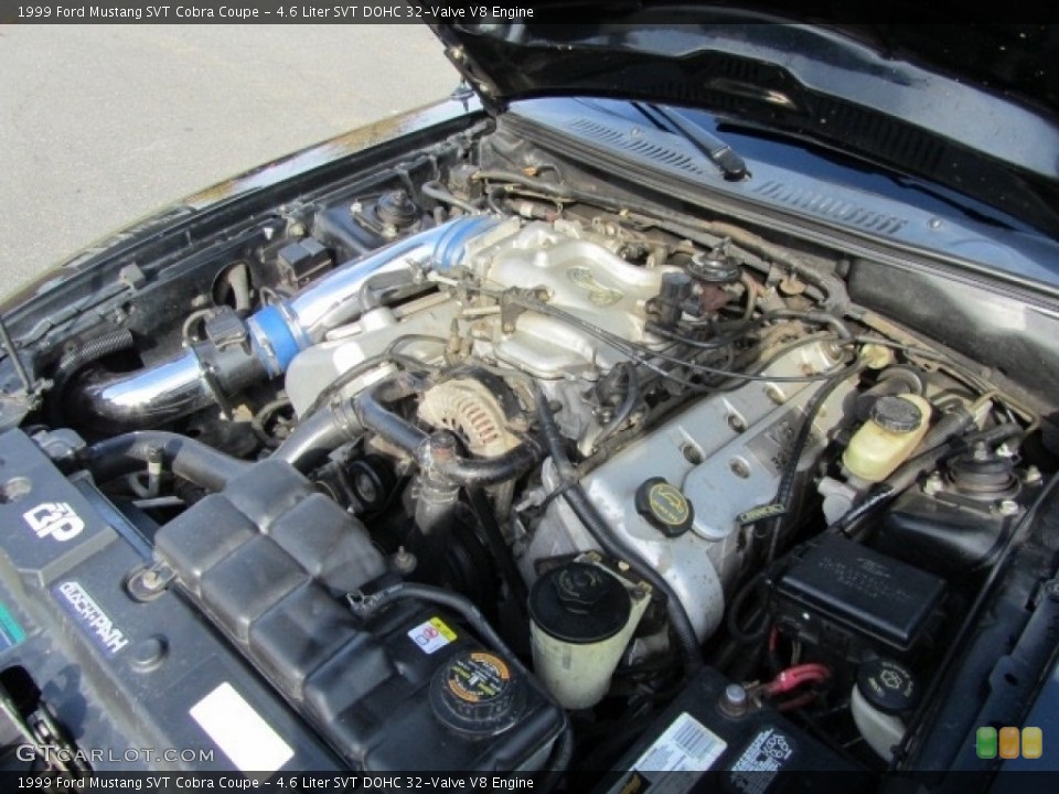 4.6 Liter SVT DOHC 32-Valve V8 Engine for the 1999 Ford Mustang #123976708