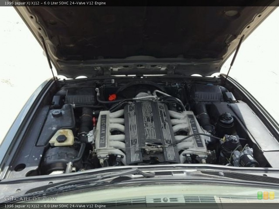 6.0 Liter SOHC 24-Valve V12 Engine for the 1996 Jaguar XJ #126688614
