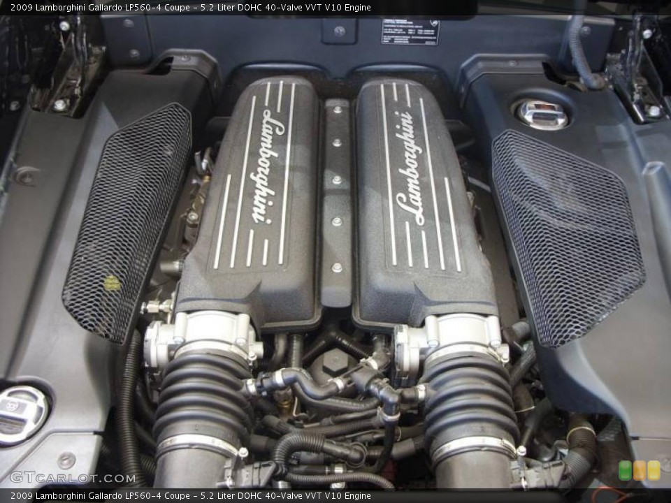 5.2 Liter DOHC 40-Valve VVT V10 Engine for the 2009 Lamborghini Gallardo #13316669
