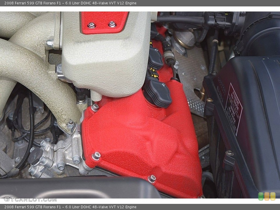 6.0 Liter DOHC 48-Valve VVT V12 Engine for the 2008 Ferrari 599 GTB Fiorano #135672450