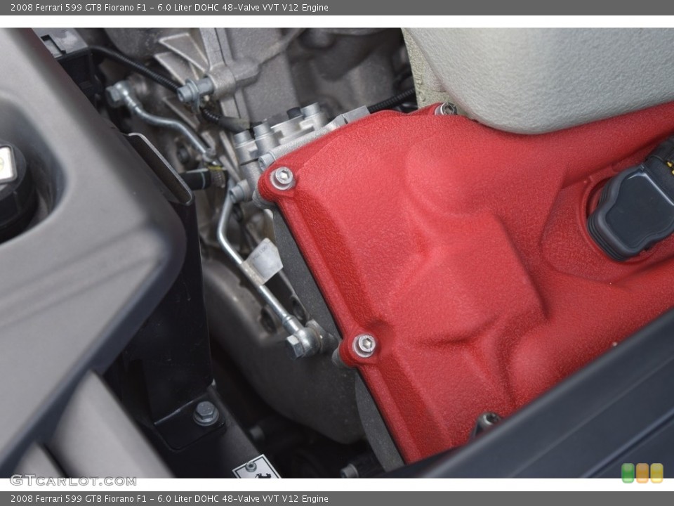 6.0 Liter DOHC 48-Valve VVT V12 Engine for the 2008 Ferrari 599 GTB Fiorano #135672474