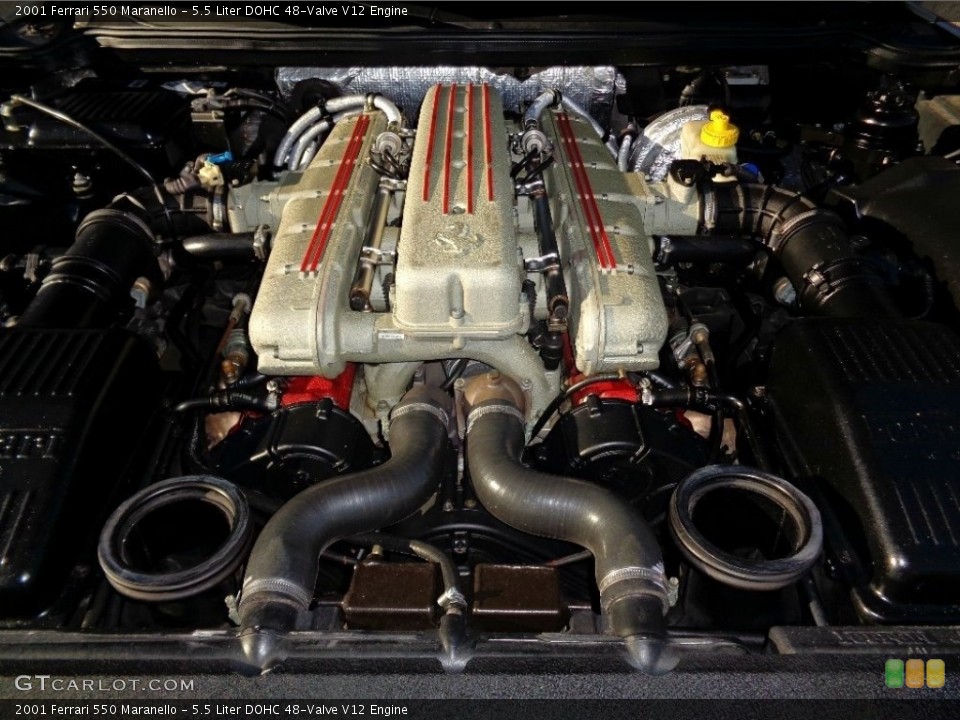 5.5 Liter DOHC 48-Valve V12 Engine for the 2001 Ferrari 550 #136313286