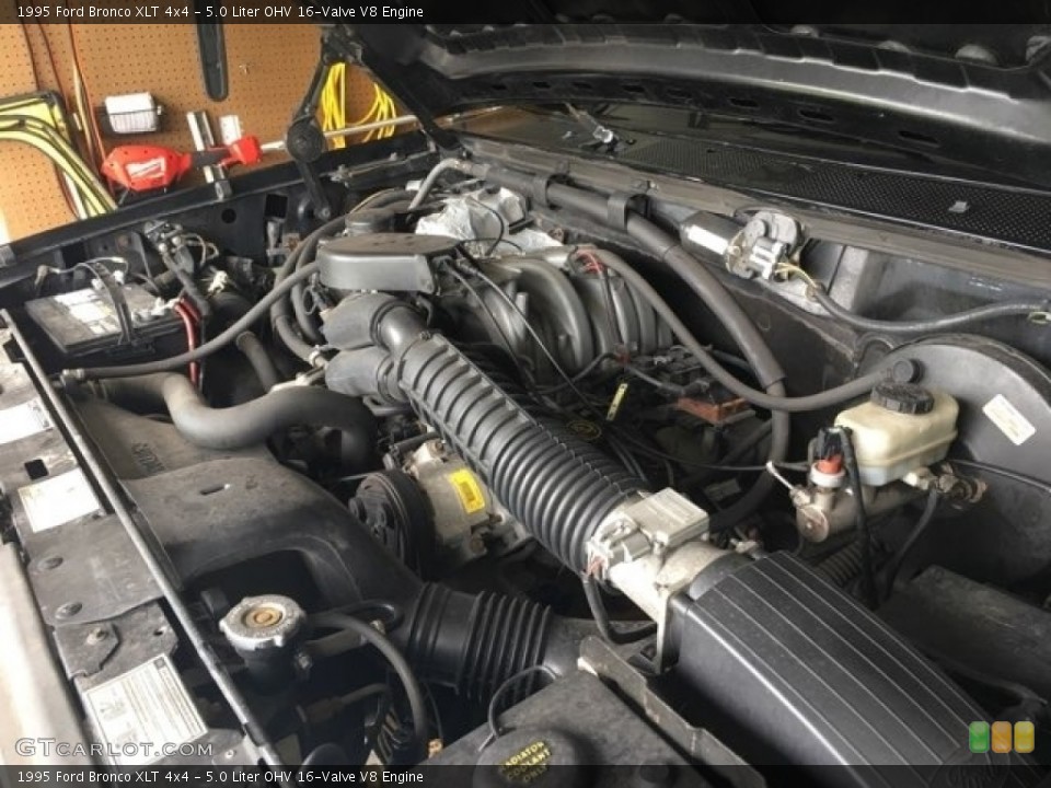 5.0 Liter OHV 16-Valve V8 1995 Ford Bronco Engine