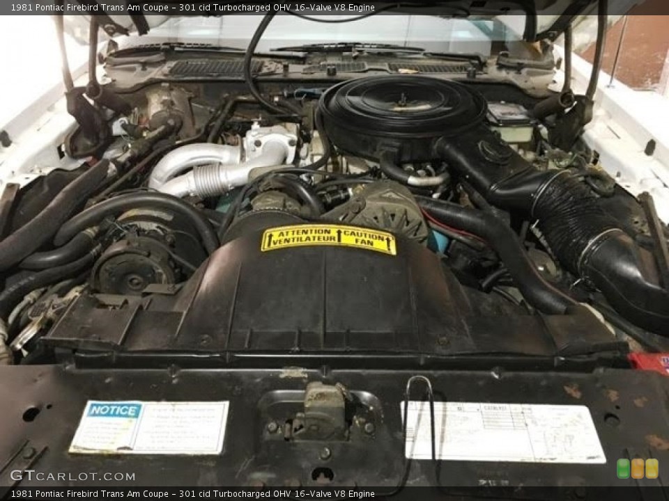 301 cid Turbocharged OHV 16-Valve V8 Engine for the 1981 Pontiac Firebird #138715059