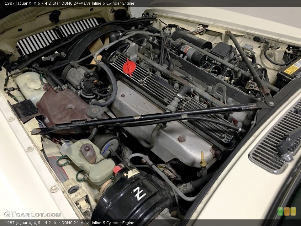 4.2 Liter DOHC 24-Valve Inline 6 Cylinder 1987 Jaguar XJ Engine
