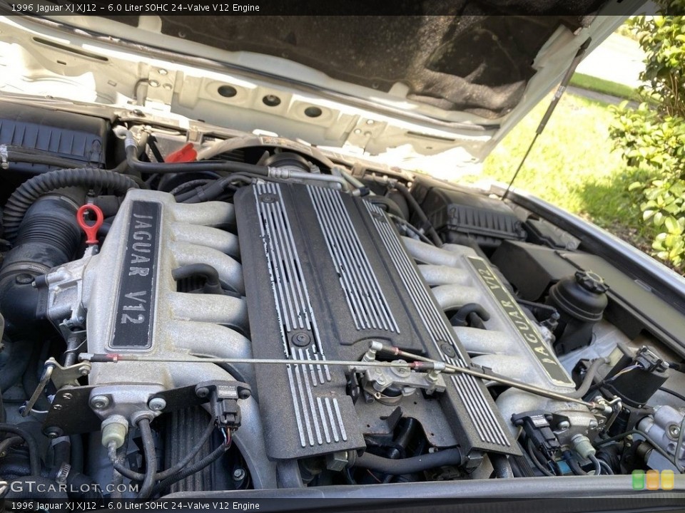 6.0 Liter SOHC 24-Valve V12 1996 Jaguar XJ Engine