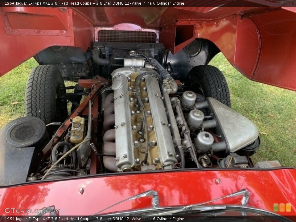 3.8 Liter DOHC 12-Valve Inline 6 Cylinder Engine for the 1964 Jaguar E-Type #142639721