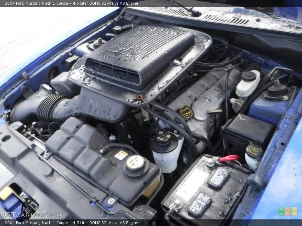 4.6 Liter DOHC 32-Valve V8 2004 Ford Mustang Engine