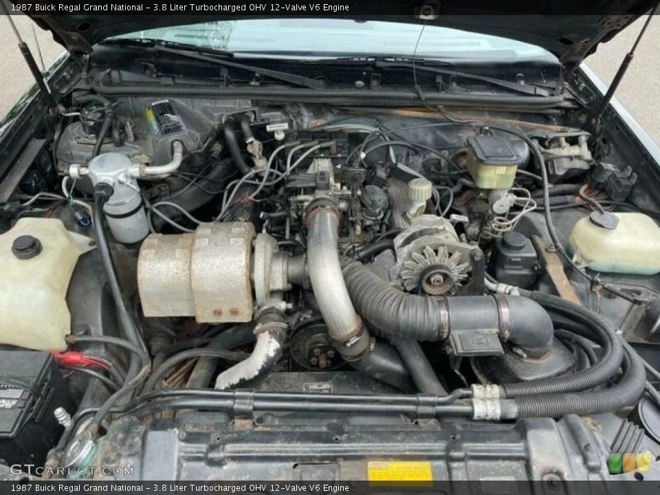 3.8 Liter Turbocharged OHV 12-Valve V6 Engine for the 1987 Buick Regal #143895715
