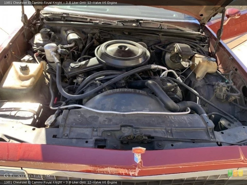 3.8 Liter OHV 12-Valve V6 1981 Chevrolet El Camino Engine