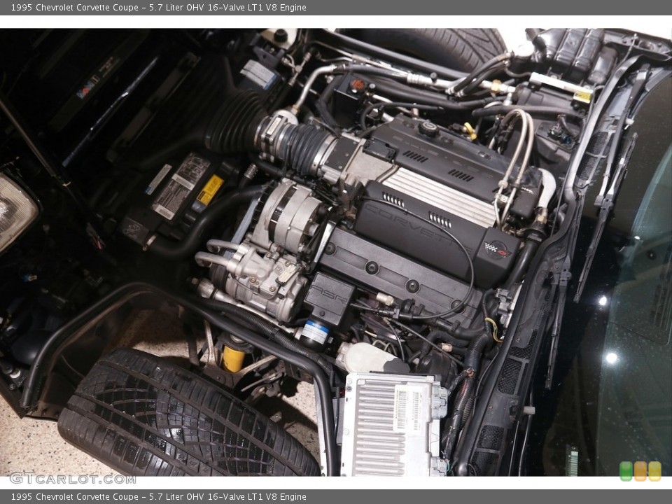 5.7 Liter OHV 16-Valve LT1 V8 Engine for the 1995 Chevrolet Corvette #144126430