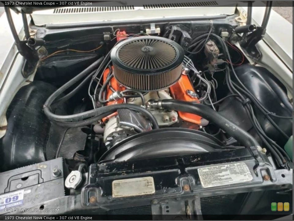 307 cid V8 Engine for the 1973 Chevrolet Nova #144531856