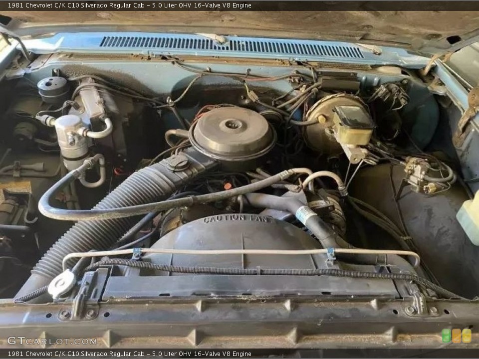 5.0 Liter OHV 16-Valve V8 1981 Chevrolet C/K Engine