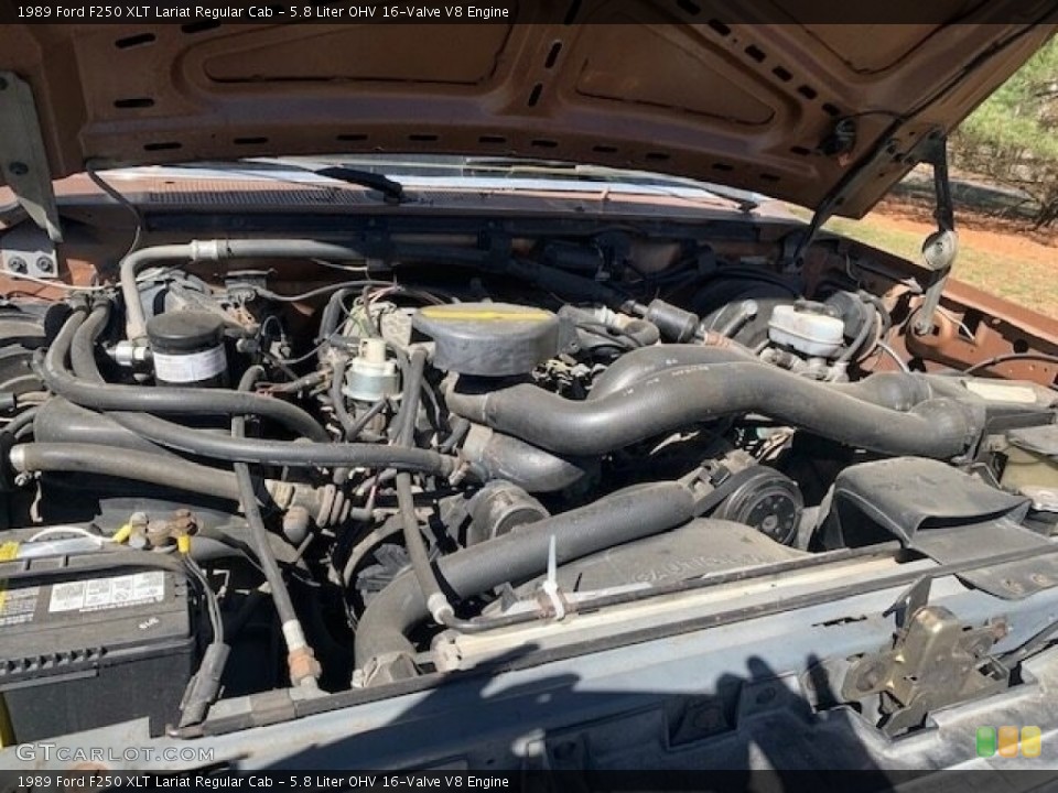 5.8 Liter OHV 16-Valve V8 1989 Ford F250 Engine